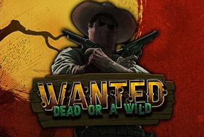 Wanted Dead Or A Wild